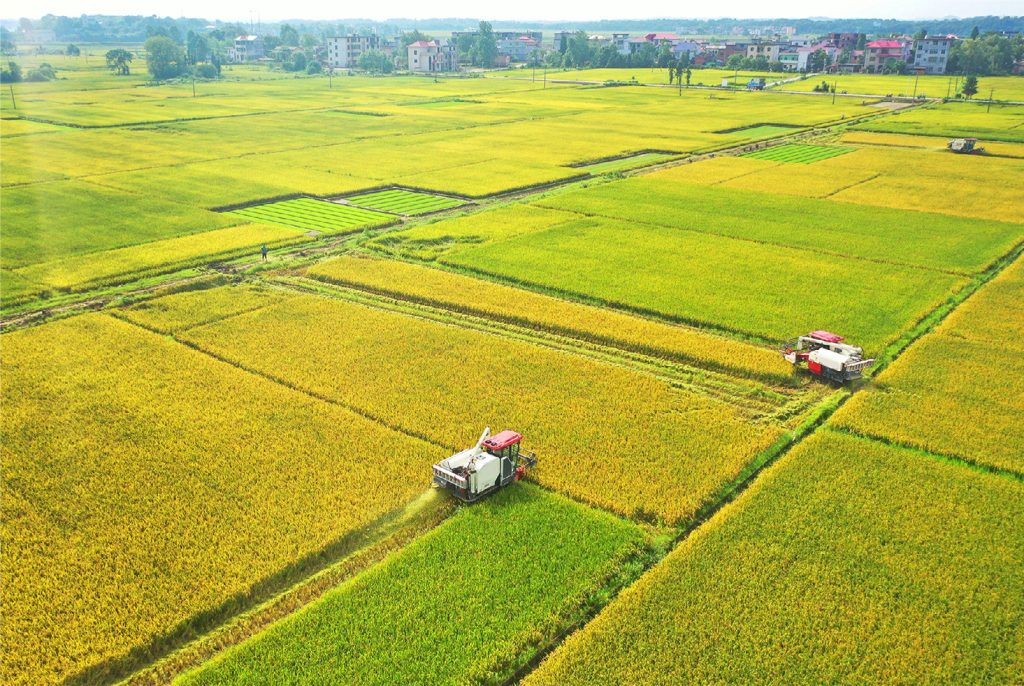 20240823 bX6ci9nR Lianglu Rice Vermicelli factory : A National Leading Enterprise that Leads the Development of the Industry with Quality