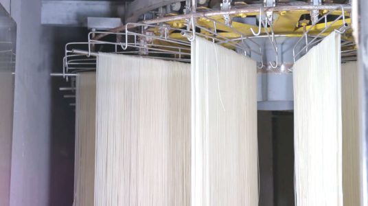 Optimizing Production Lines for Custom Noodles: Boosting Capacity and Reducing Costs