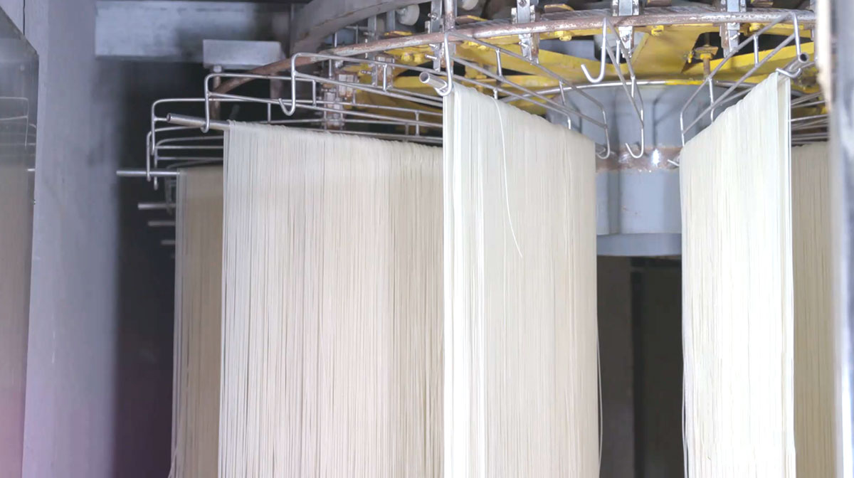 Custom Noodles Factory