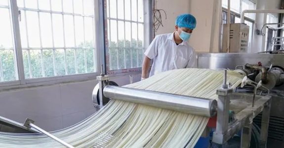 What to Consider When Choosing a Rice Noodles Company: 5 Common Pitfalls to Avoid