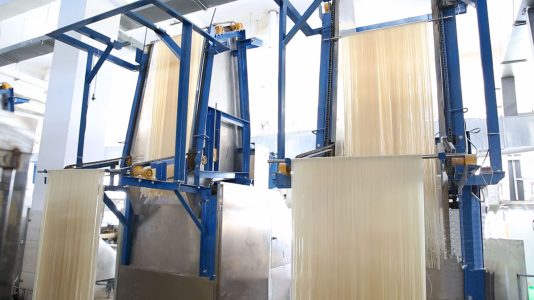 The Growth Trends of Custom Noodles in the Global Market: Insights from a Leading China Noodle Factory